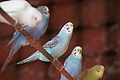 DSC05508 - Bernhard Saalfeld