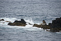 DSC05513 - Bernhard Saalfeld