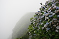 DSC05519 - Bernhard Saalfeld