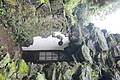 DSC05601 - Bernhard Saalfeld