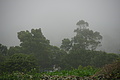 DSC05629 - Bernhard Saalfeld