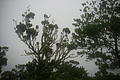 DSC05638 - Bernhard Saalfeld
