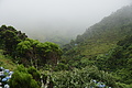 DSC05652 - Bernhard Saalfeld