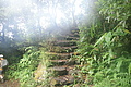 DSC05662 - Bernhard Saalfeld