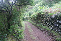 DSC05666 - Bernhard Saalfeld