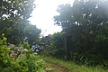 DSC05668 - Bernhard Saalfeld