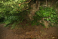 DSC05670 - Bernhard Saalfeld