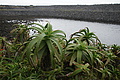 DSC05708 - Bernhard Saalfeld