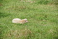 DSC05727 - Bernhard Saalfeld