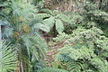 DSC05848 - Bernhard Saalfeld