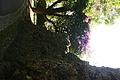 DSC05862 - Bernhard Saalfeld