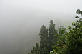 DSC05907 - Bernhard Saalfeld