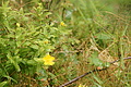 DSC05956 - Bernhard Saalfeld
