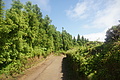 DSC05971 - Bernhard Saalfeld