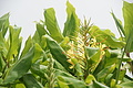 DSC06000 - Bernhard Saalfeld