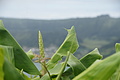 DSC06006 - Bernhard Saalfeld