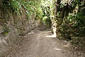 DSC06026 - Bernhard Saalfeld