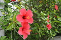 DSC06029 - Bernhard Saalfeld
