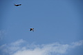 DSC06052 - Bernhard Saalfeld