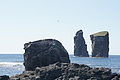 DSC06068 - Bernhard Saalfeld