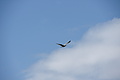 DSC06073 - Bernhard Saalfeld