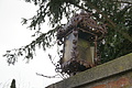 DSC08440 - Bernhard Saalfeld