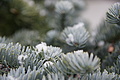 DSC08448 - Bernhard Saalfeld