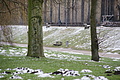 DSC08453 - Bernhard Saalfeld