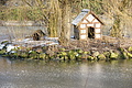 DSC08525 - Bernhard Saalfeld