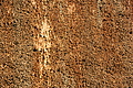 DSC08534 - Bernhard Saalfeld