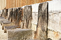 DSC08537 - Bernhard Saalfeld