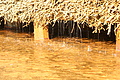 DSC08540 - Bernhard Saalfeld