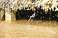DSC08548 - Bernhard Saalfeld