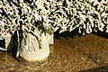 DSC08554 - Bernhard Saalfeld