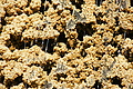 DSC08555 - Bernhard Saalfeld