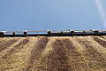 DSC08559 - Bernhard Saalfeld