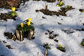 DSC08586 - Bernhard Saalfeld