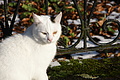 DSC08587 - Bernhard Saalfeld