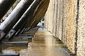 DSC08589 - Bernhard Saalfeld