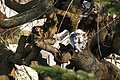 DSC08603 - Bernhard Saalfeld