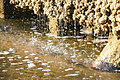 DSC08606 - Bernhard Saalfeld
