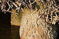 DSC08615 - Bernhard Saalfeld