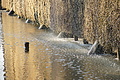 DSC08616 - Bernhard Saalfeld