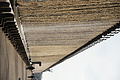 DSC08630 - Bernhard Saalfeld
