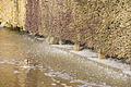 DSC08634 - Bernhard Saalfeld