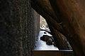 DSC08639 - Bernhard Saalfeld