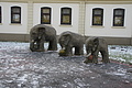 DSC08657 - Bernhard Saalfeld