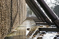DSC08666 - Bernhard Saalfeld