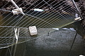 DSC02341 - Bernhard Saalfeld