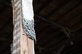 DSC02352 - Bernhard Saalfeld